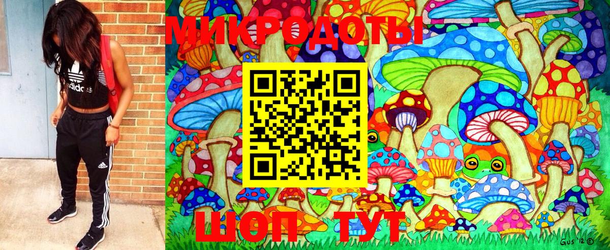 Галлюциногенные грибы Psilocybe  Вход с VPN  купить наркотик  Краснокамск  Галлюциногенные грибы мухоморы 
